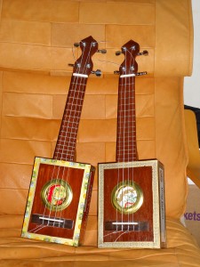 Twin Ukuleles, front view